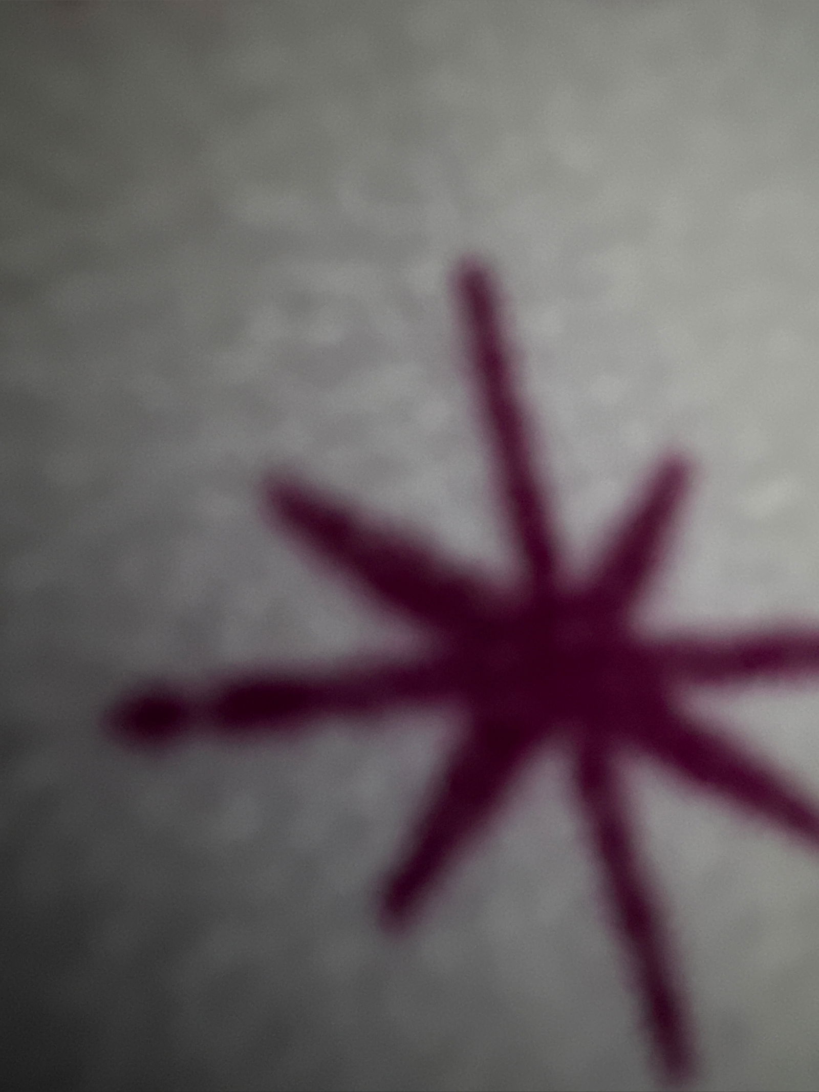 Daisy Seraphine photo