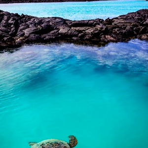 Amelia S ๐ฅ photo