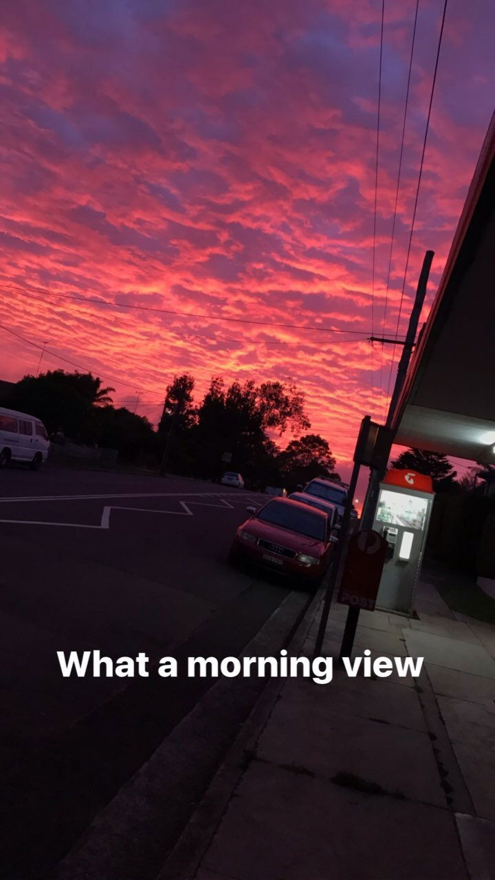 Nineinchaussie photo