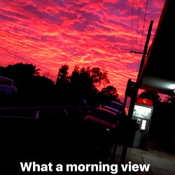 Nineinchaussie photo