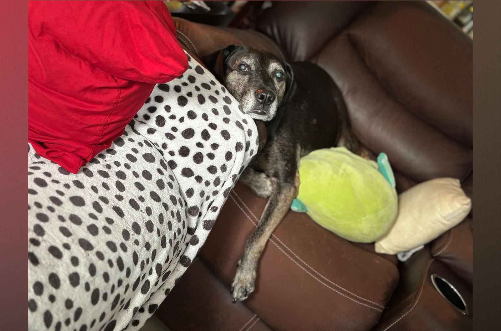 Pearl🤍 Neptune💙 photo