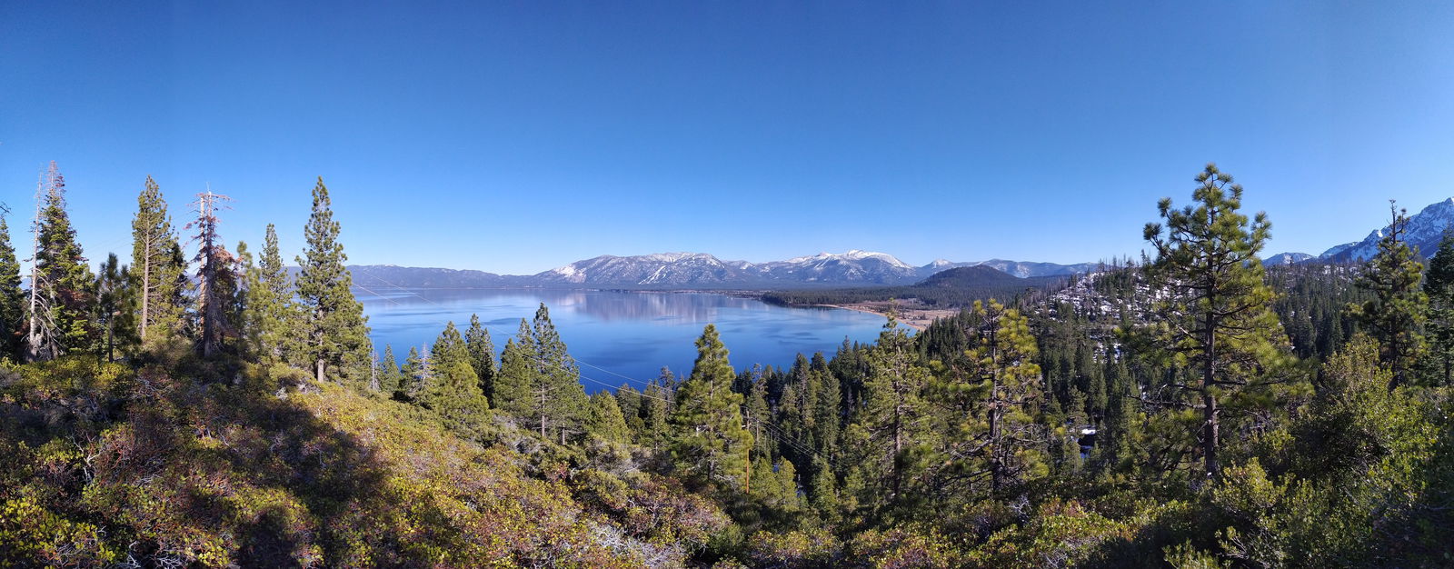 ZEUS RAY FREE 🍆😏 photo