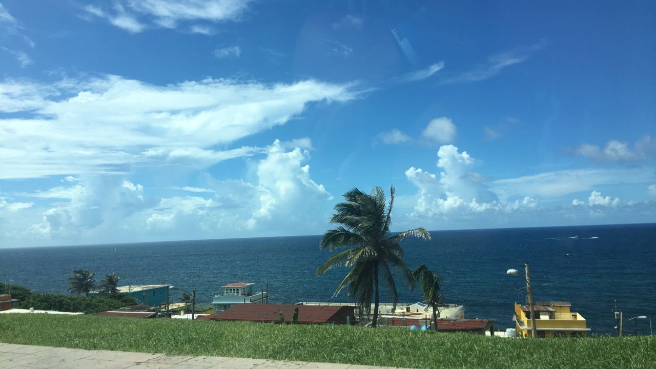 Alexis Danielle photo