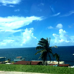 Alexis Danielle photo