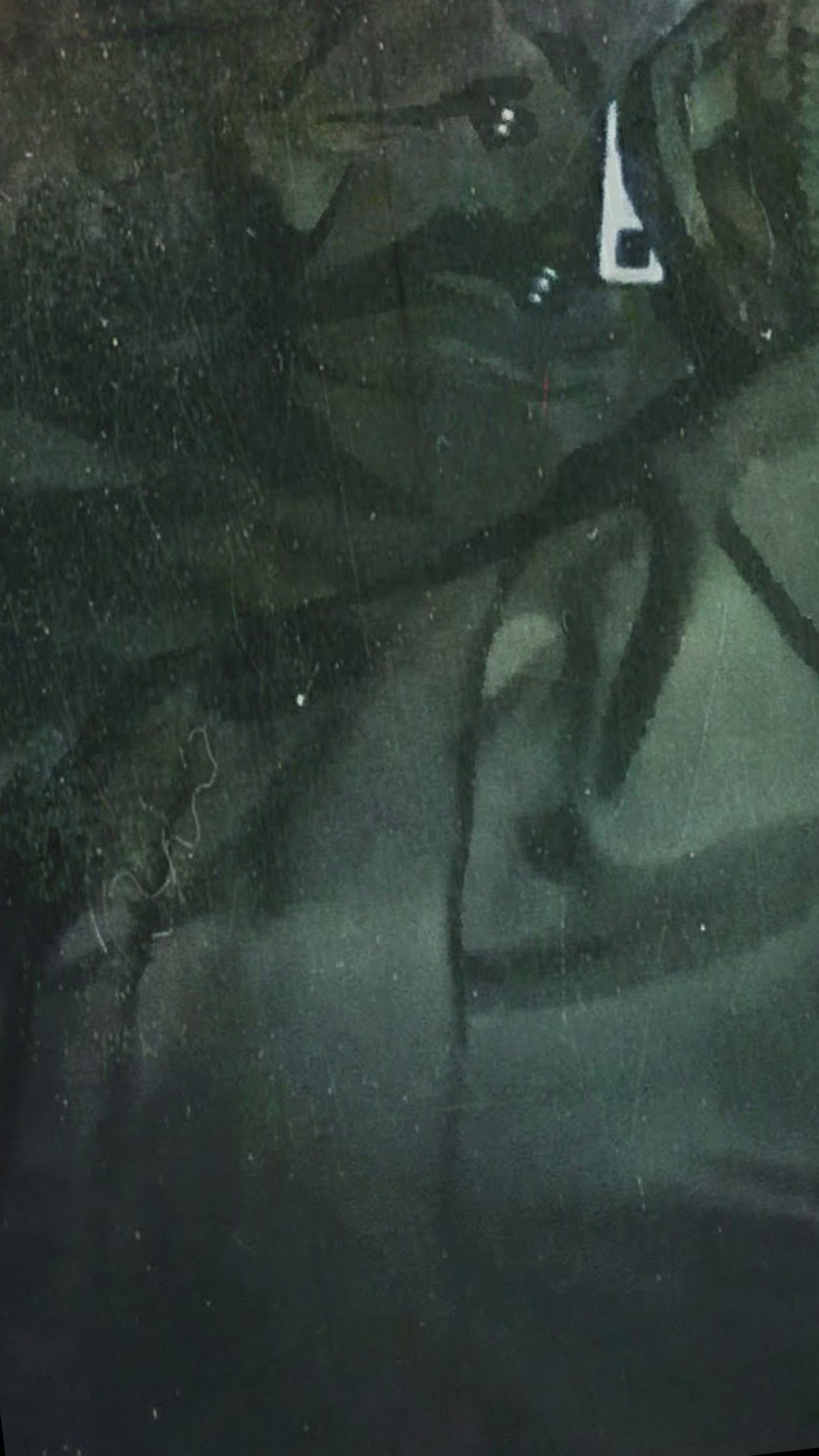 Noah Silversmith photo