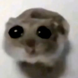 Model's Photo with Blurred Face and Animal Mask