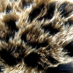 Goddess ScarlettJo photo