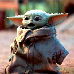 The Daily Bulge photo