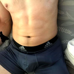 The Daily Bulge Model