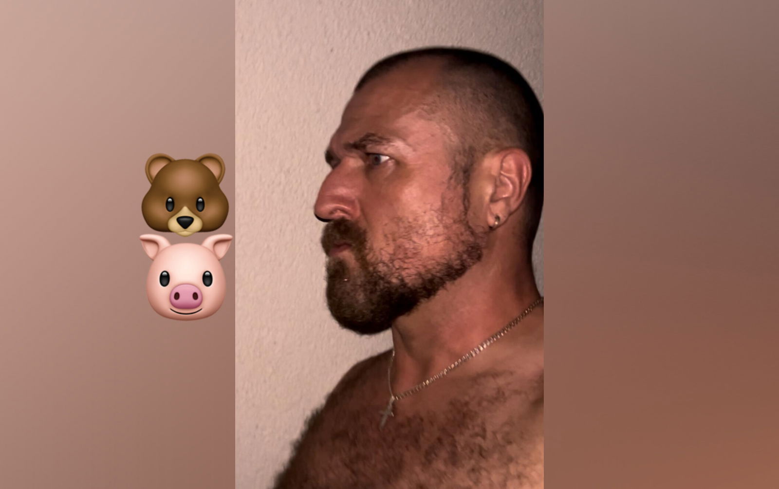 Apollo DiMarco photo