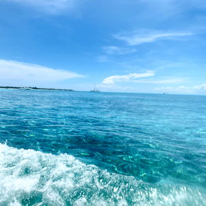 Latin Bunny ๐ฐ๐ฒ๐ฝ photo