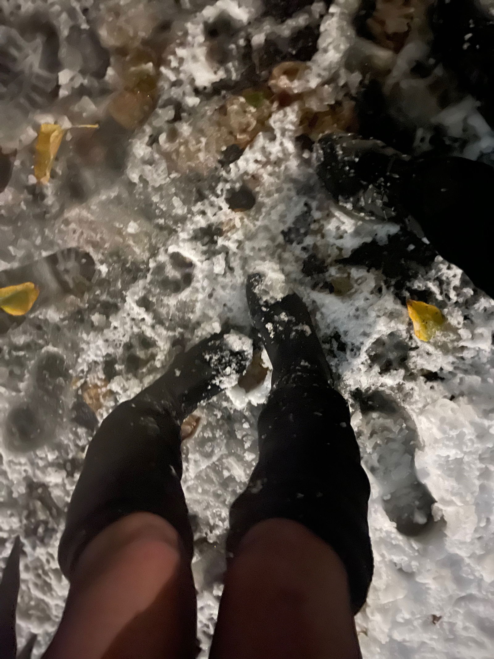 Adventureblowjs photo