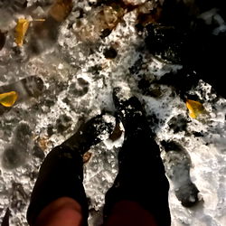 A Puddle in a Street