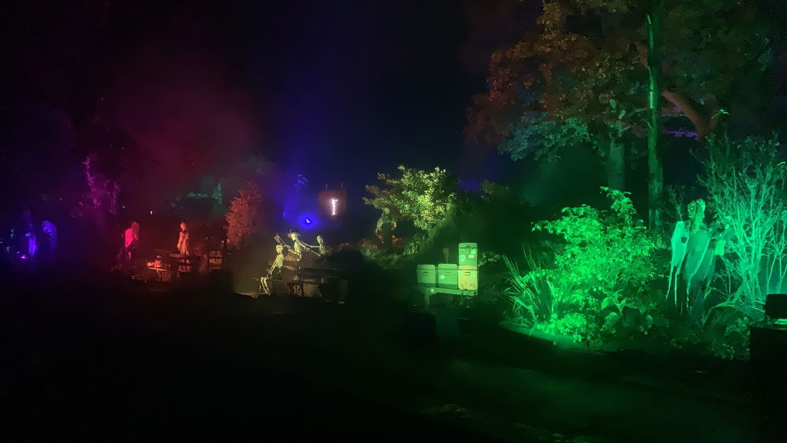 Account inactive. photo