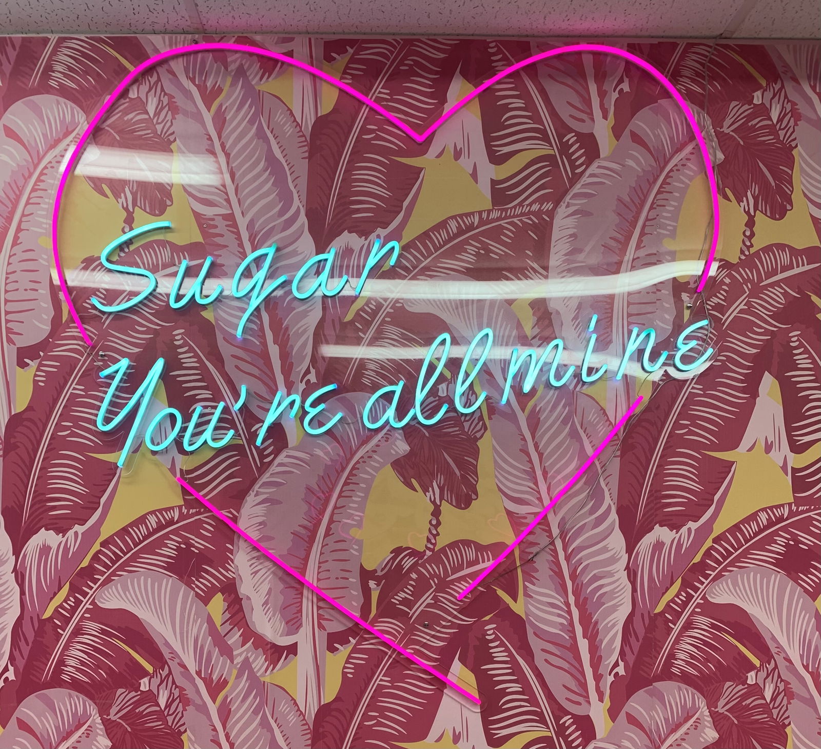 Allie Rose 💋 photo