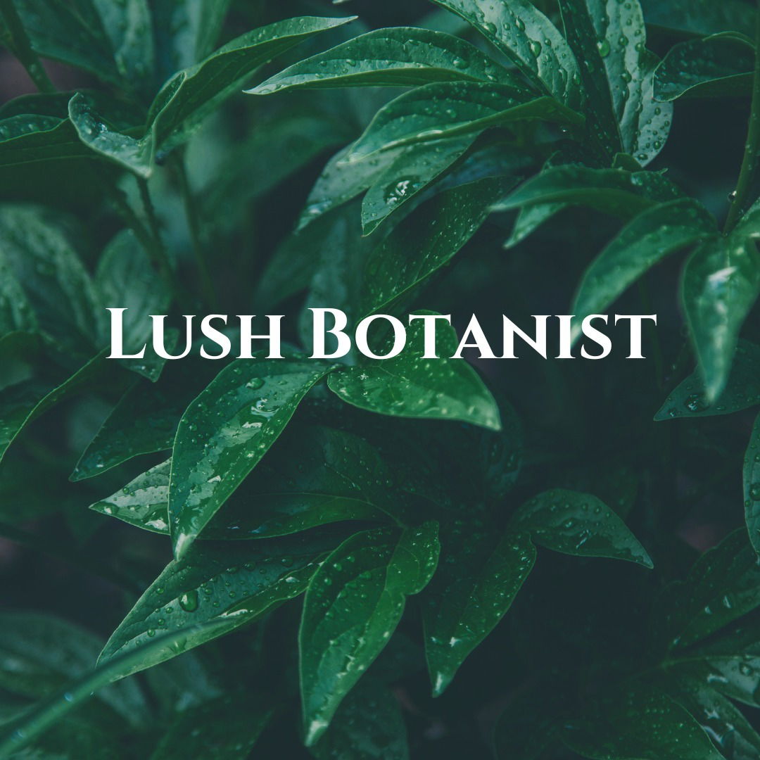Lush Botanist photo