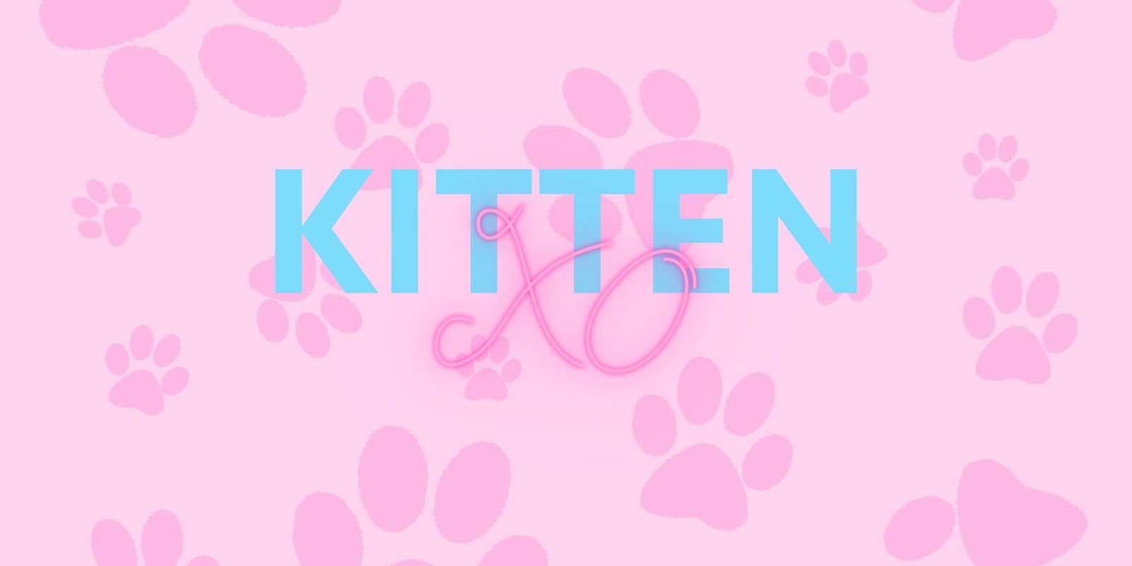 Kitten💕 photo