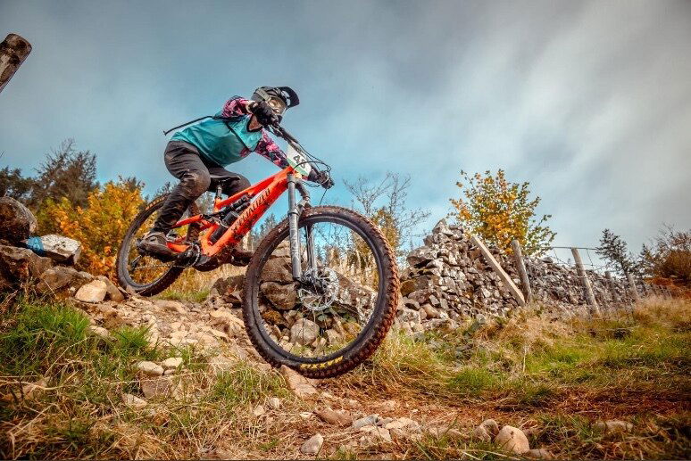 British custom Queen photo