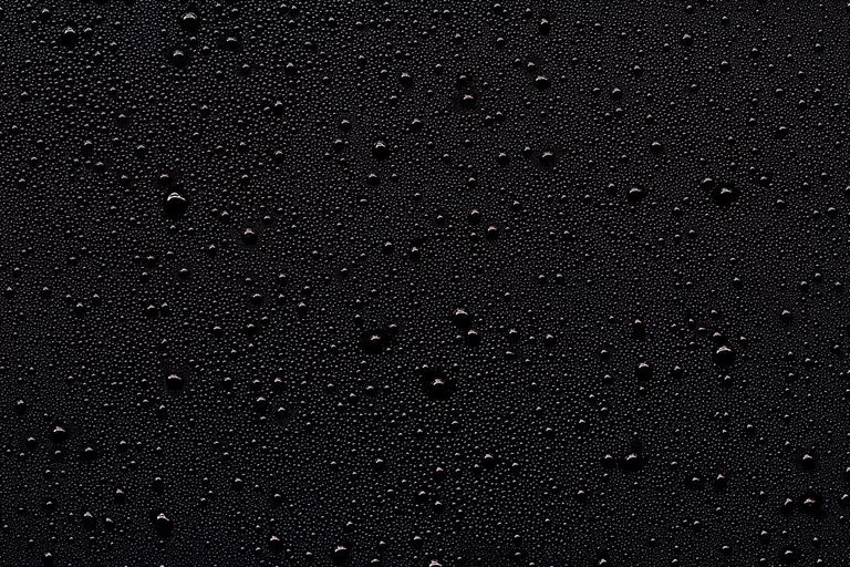 THE LATIN GAY ASS photo