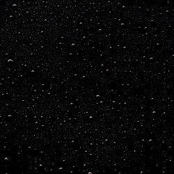 THE LATIN GAY ASS photo