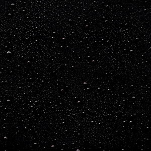 THE LATIN GAY ASS photo