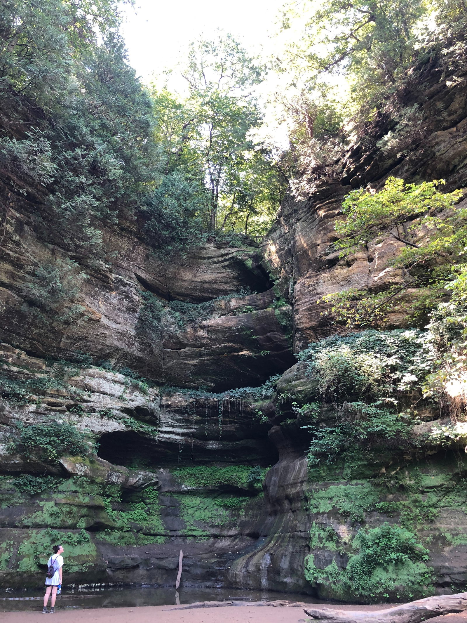 Feet Fanatics22 photo