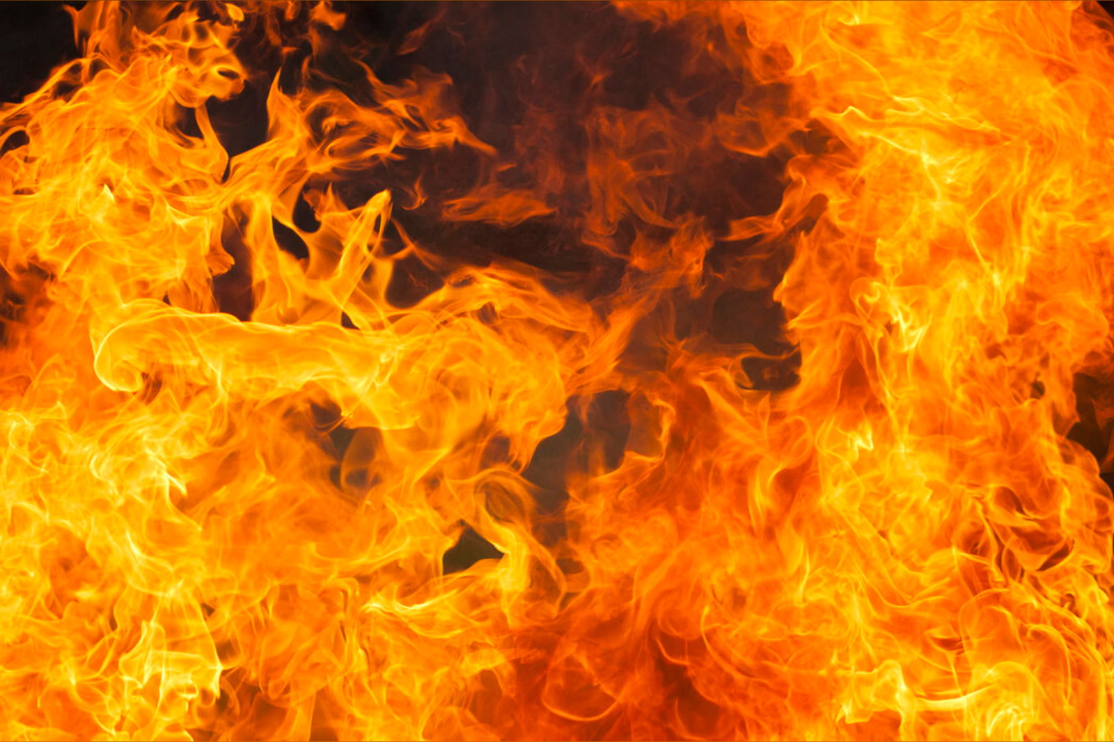 BalthazarsHorns photo