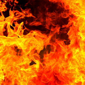 BalthazarsHorns photo