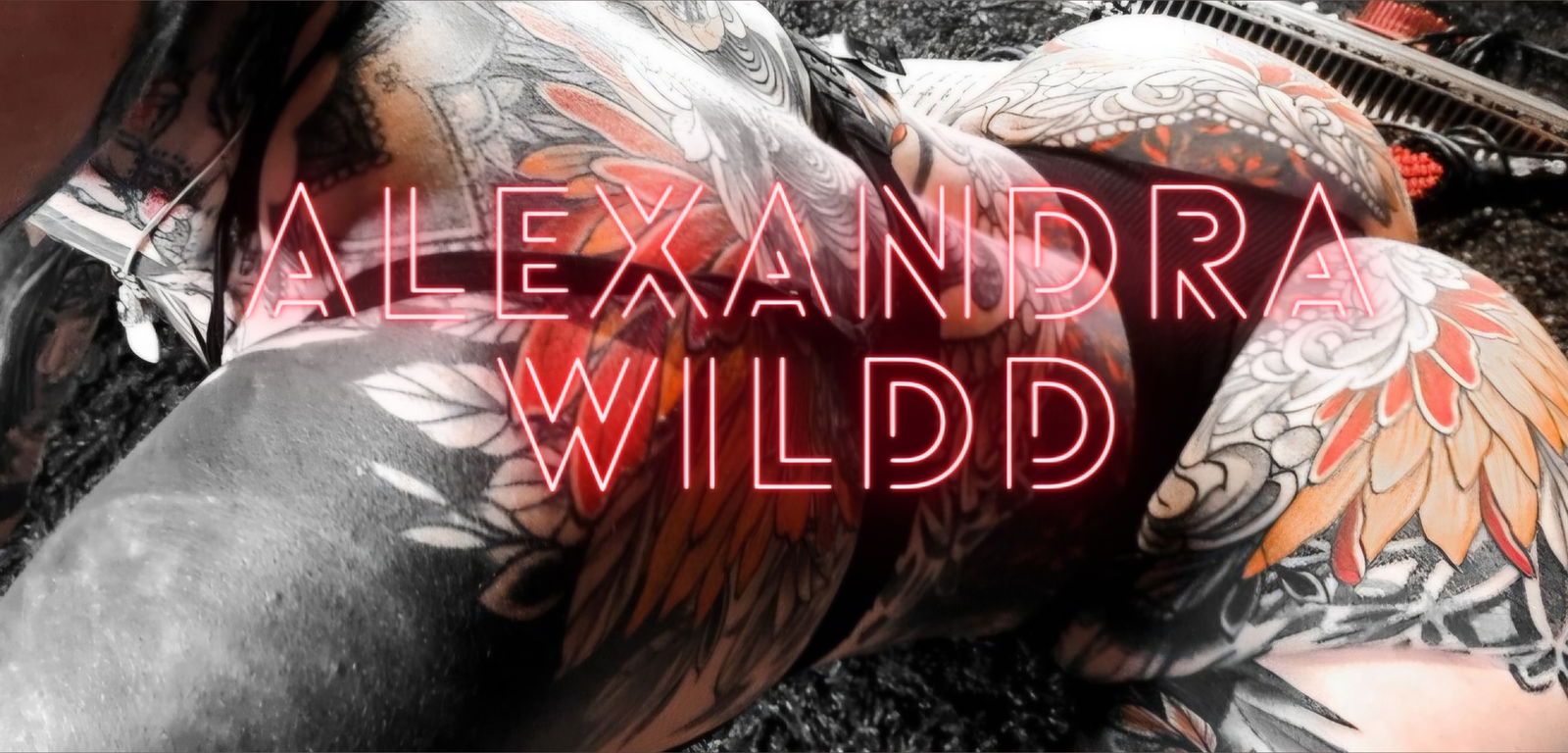 𝓐𝓵𝓮𝔁𝓪𝓷𝓭𝓻𝓪 &amp; 𝓛𝓮𝔀𝓲𝓼 𝓦𝓲𝓵𝓭𝓭 photo