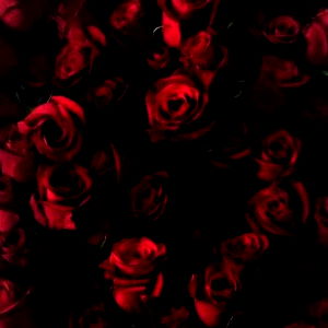 Babygirl242020 photo