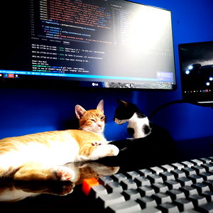 Andrรฉs Urrego photo