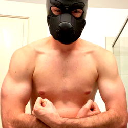 OnlyFans Model Pup Rosko in Playful Dog Costume