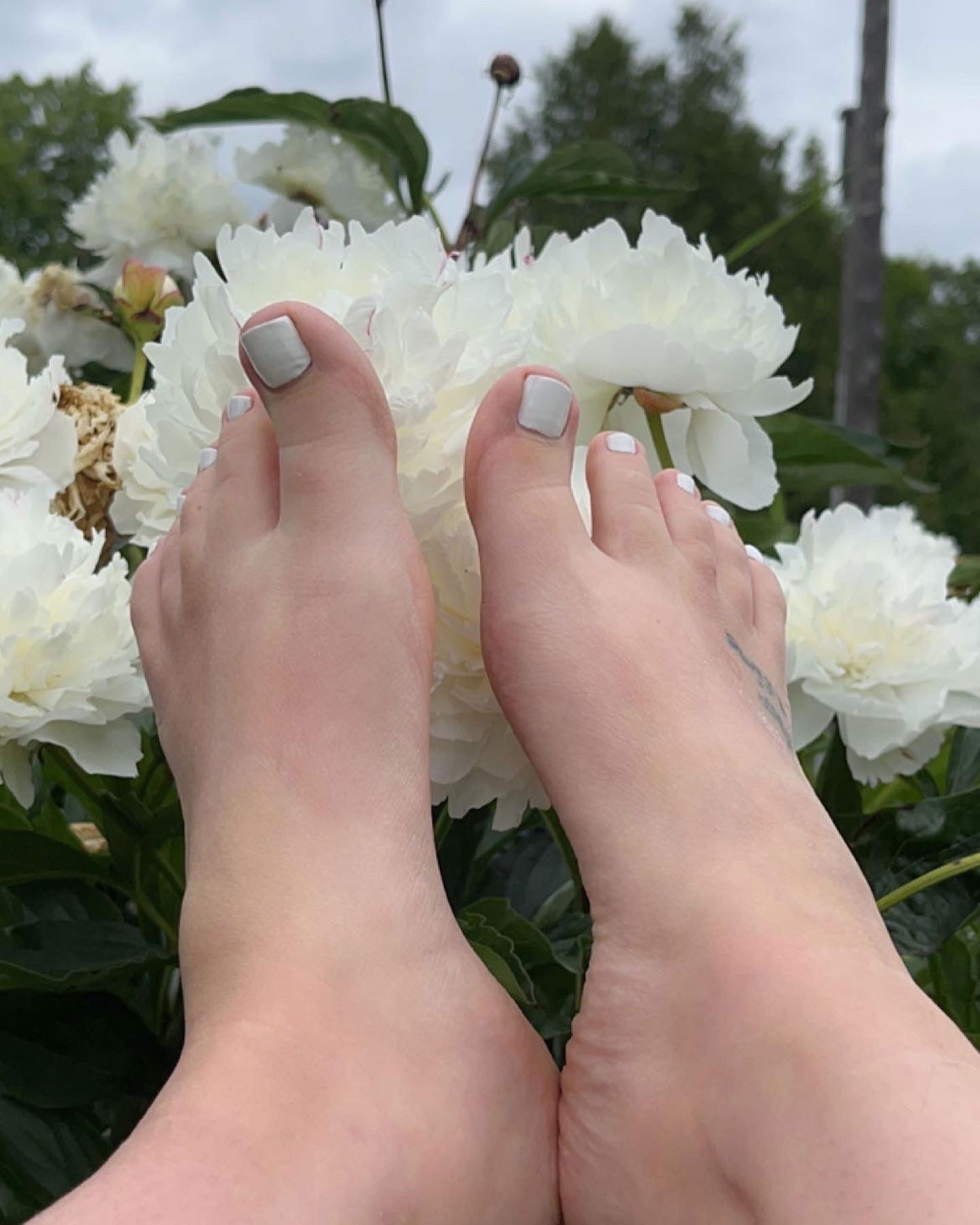 sugar.sweetsoles photo