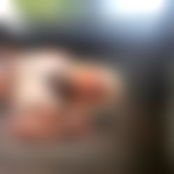 Rachel Grey ๐ค photo