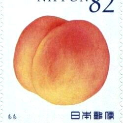 ⋆。゚☁︎。⋆。 ゚☾ ゚。⋆ photo