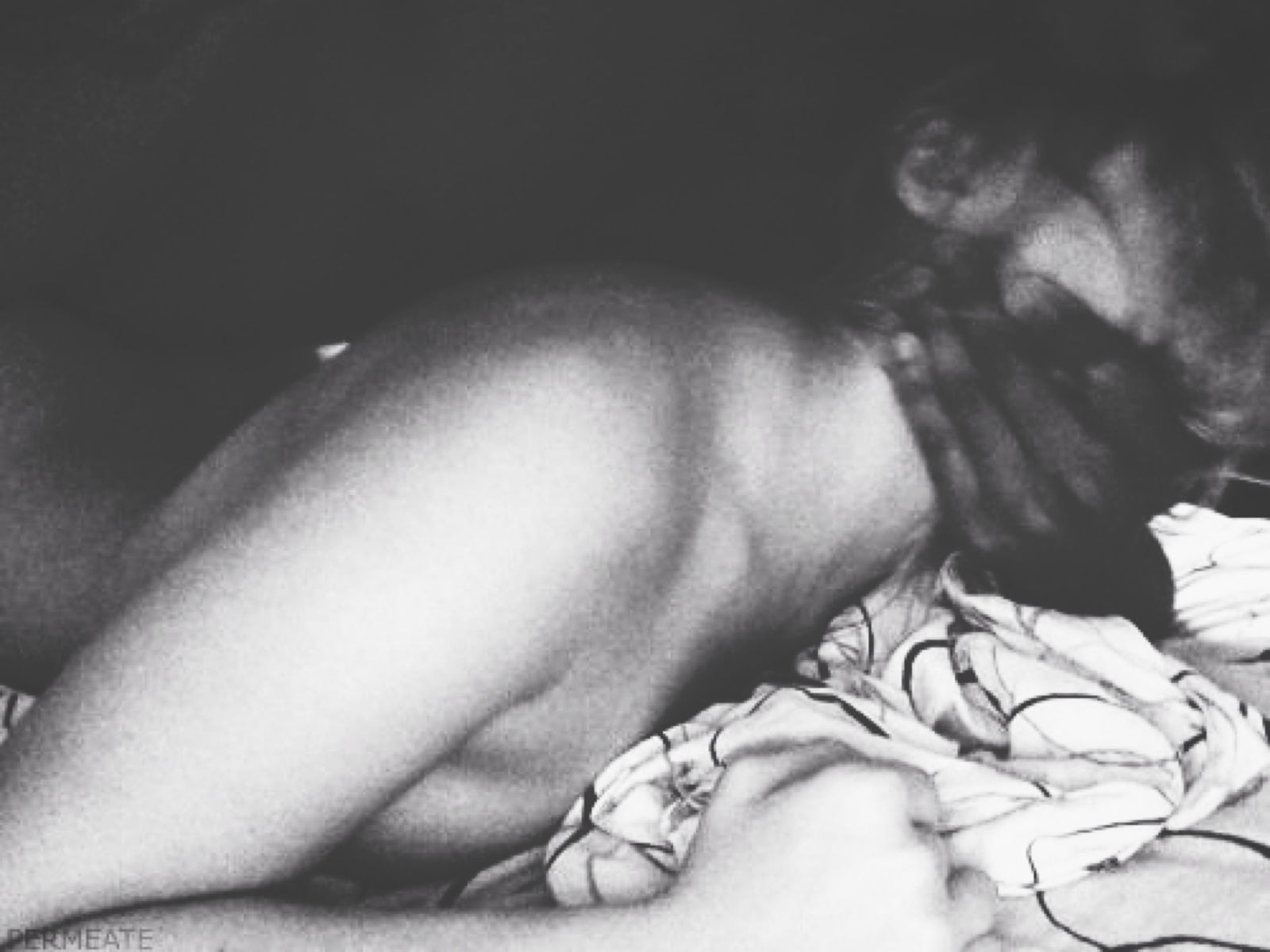 Andy Toutouni 🦦 photo