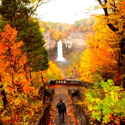 Daddy’s babygirl photo