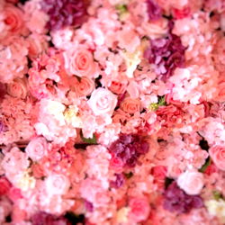 ✿ Murphy Reid ✿ photo