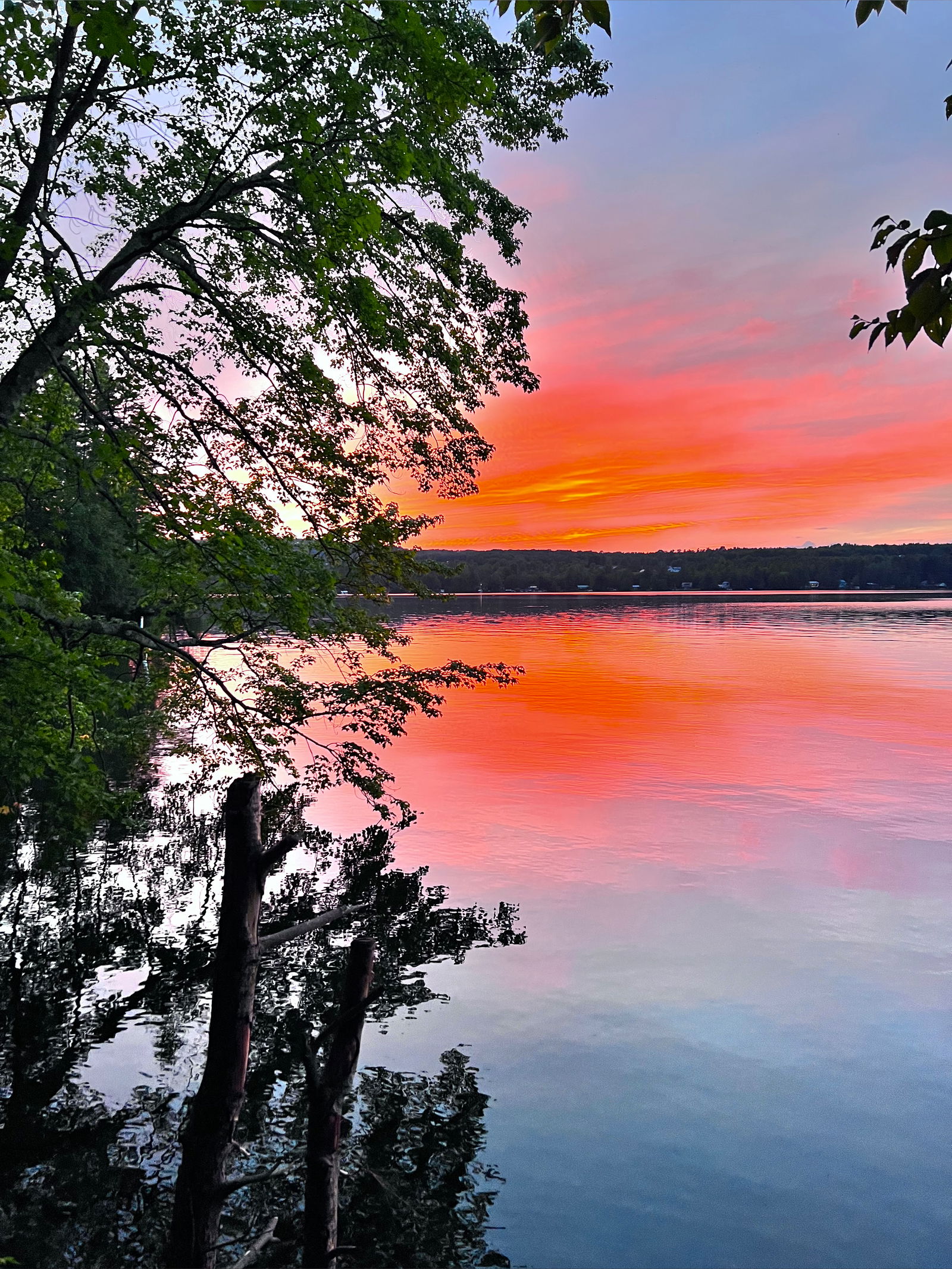 Sl*tty dads next door photo