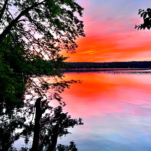 Sl*tty dads next door photo