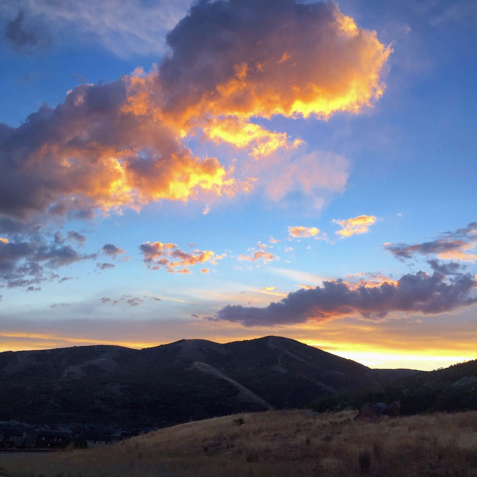 Alexander Mecum photo