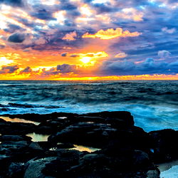 Playful _Megan photo