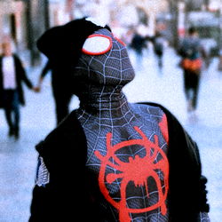 Vigilant Spiderman Cosplayer Patrolling City Streets