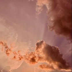 Alexandra Dreams photo