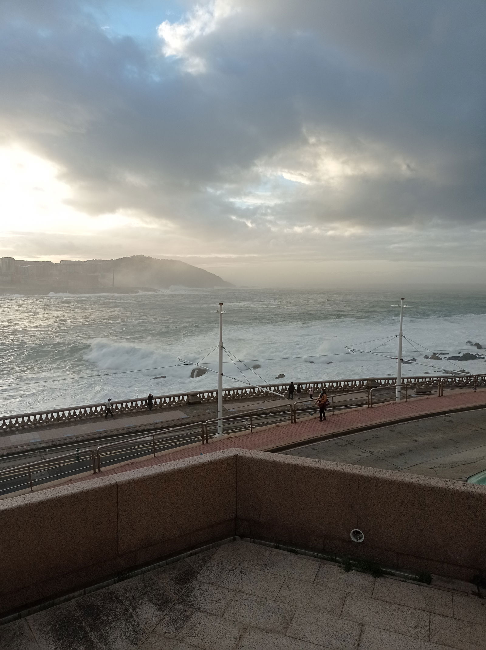 Caribbean Cinnamon photo