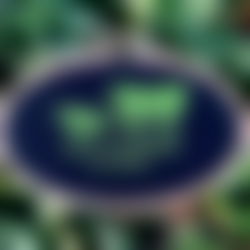 Agรผeybanรก photo