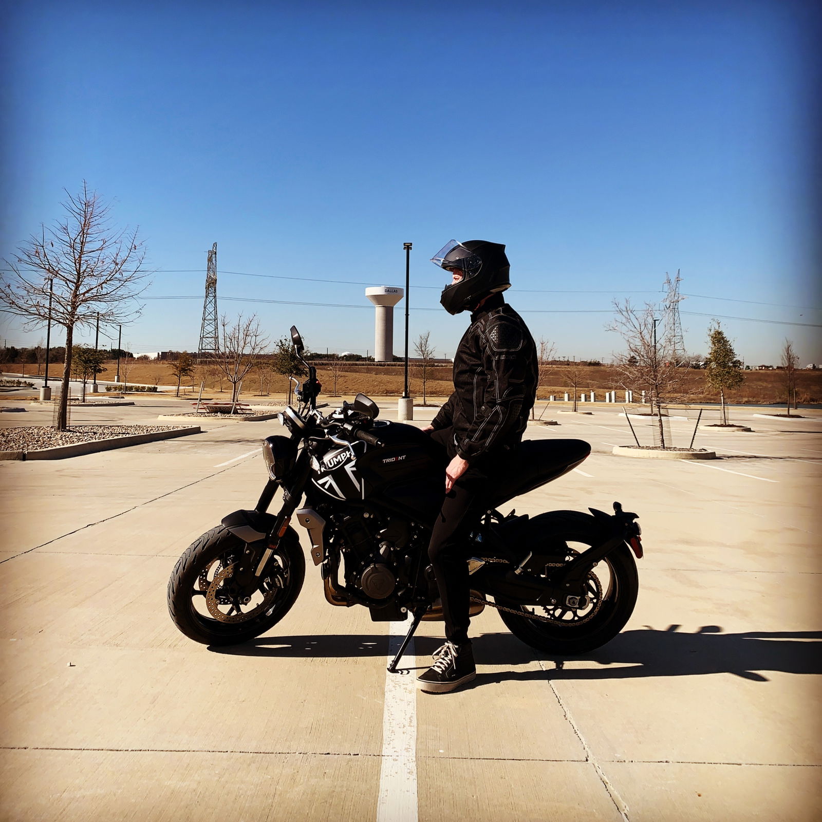 Admiral Blue Eyes photo