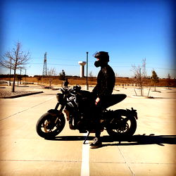 Admiral Blue Eyes photo