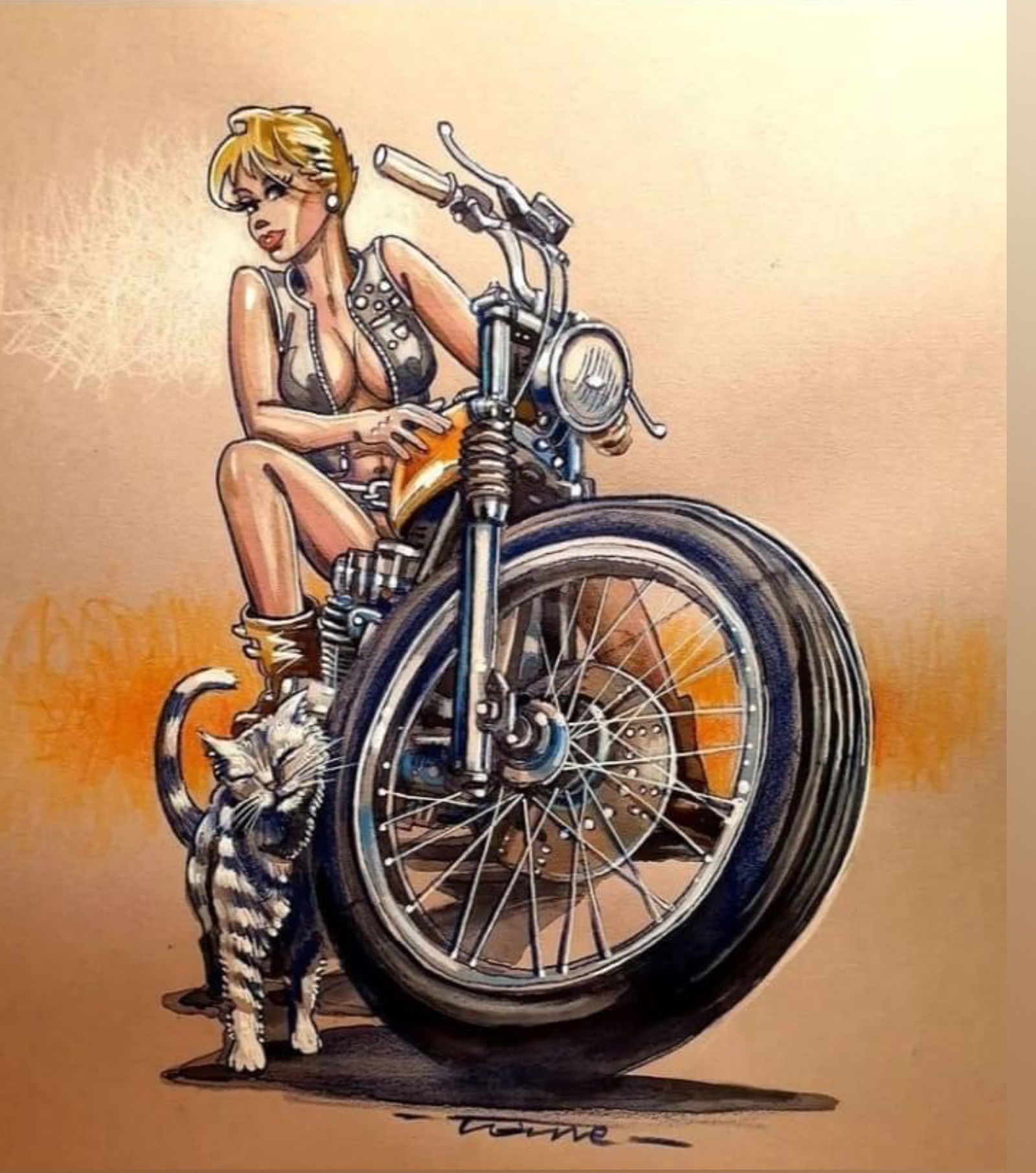 🪶lawless 43🪶 photo