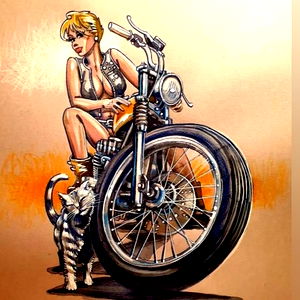 ๐ชถlawless 43๐ชถ photo